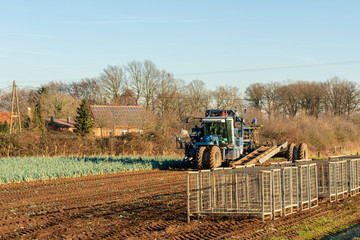 Fototapeta premium Lauch-Erntemaschine Standort: Deutschland, Nordrhein-Westfalen, Borken