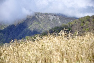 新緑の頃 草原越しの晴れ行く臼ヶ岳