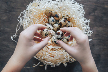 Quail egg in the hands of a child