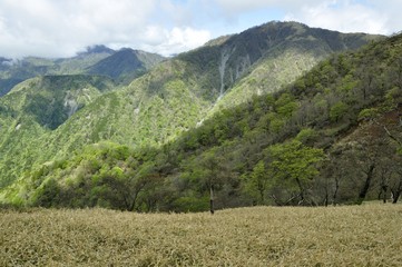 日高より眺める新緑の不動ノ峰