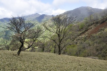 日高より晴れ行く丹沢山地