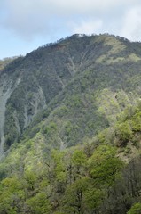 Fototapeta premium 新緑の不動ノ峰