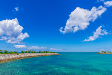 Fototapeta premium 沖縄の海