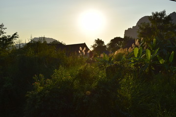 Looking At The Sun Up From The Meadow