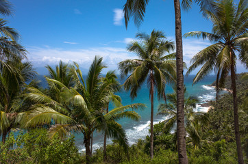Fototapeta na wymiar Rugged Tropical Beach View Through Coconut Trees - Palawan, Philippines