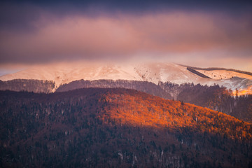 Winter landscape