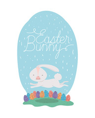 rabbit with easter eggs painted and font in the camp