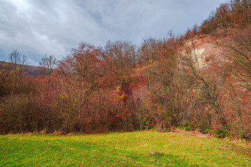 Autumn landscape