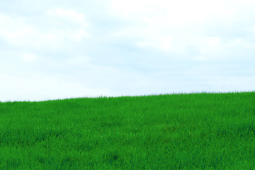 Fototapeta na wymiar Grass hill and blue sky