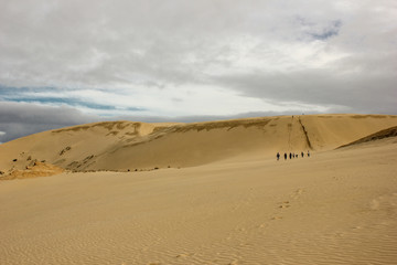 Fototapeta na wymiar sand dunes on the coast of cape reinga, people walking back after doing sand surfing in New Zealand. TePaki gaint sand dunes.
