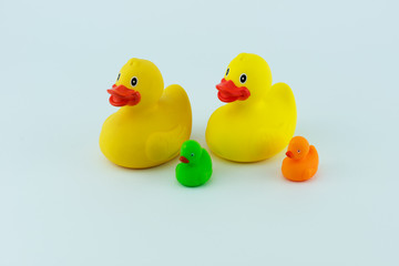 Rubber ducks isolated on white background