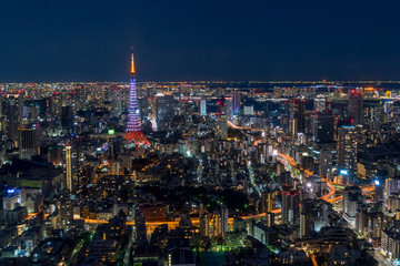 Tokyo Tower and cityscape
