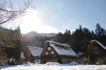 白川郷