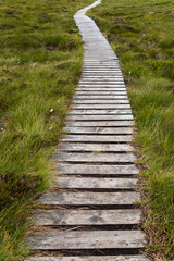Fototapeta premium 木道の果て Farthest of wood road