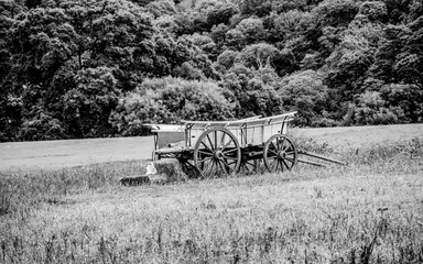 Fototapeta na wymiar Old Carriage on a field