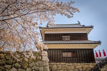 Ueda Castle during spring