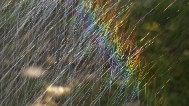Arcoiris
