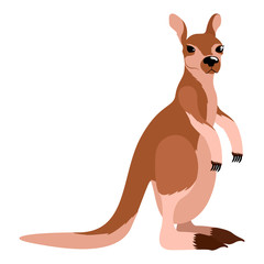 Isolated cute kangaroo image. Vector illustration design