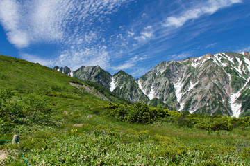Obraz premium 夏の白馬八方尾根／不帰ノ嶮／長野県白馬村