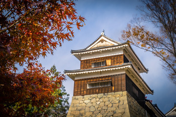 Ueda Castle in autumn