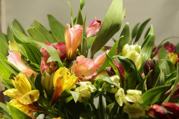 Peruvian Lily Bouquet