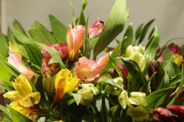 Peruvian Lily Bouquet