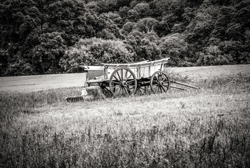 Fototapeta na wymiar Old Carriage on a field
