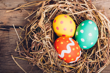 Beautiful Easter multi color egg in straw on wooden