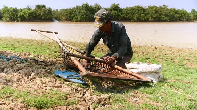 Close-up of a fisher sorting clams in a push basket 