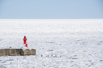 冬の知床・ウトロ　ウトロ灯台の下での流氷ウォーク　オホーツク海の流氷の上を歩くアクティビティ（北海道・斜里町・ウトロ） © tatsuo115