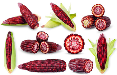 Purple corn isolated on white clipping path