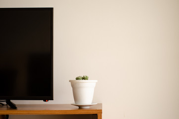 Home decoration tv and cactus