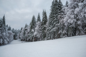 winter landscape in Predeal, Romania