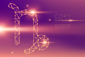 Capricorn Zodiac sign wireframe polygon futuristic bokeh light frame structure and lens flare, Fortune teller concept design illustration isolated on purple gradients background with copy space