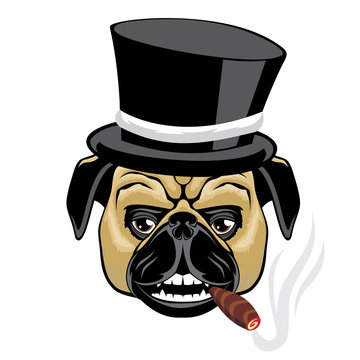 Pug in a hat smoking a cigar.
