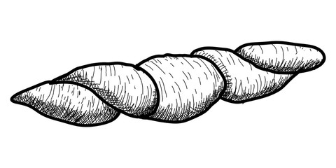 Isolated vintage sketch of a bread. Vector illustration design