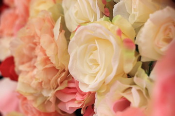 Selective focus, Color roses for background,valentine and wedding concept.