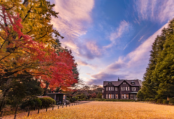 Sunset on Tokyo Metropolitan Park KyuFurukawa's old western-style mansion at red maple momiji leaves season in autumn.