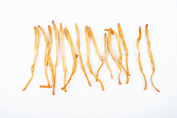 Daylily on white background