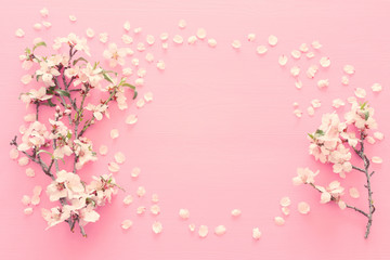 Obraz na płótnie Canvas photo of spring white cherry blossom tree on pastel pink wooden background. View from above, flat lay