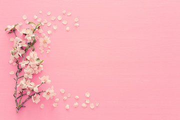 photo of spring white cherry blossom tree on pastel pink wooden background. View from above, flat...