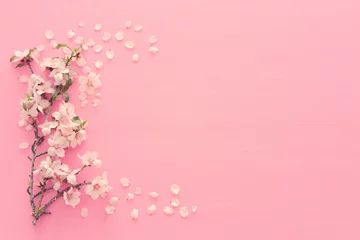 Foto op Plexiglas foto van lente witte kersenbloesem boom op pastel roze houten achtergrond. Uitzicht van bovenaf, plat gelegd © tomertu