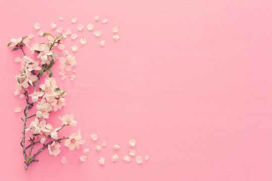 photo of spring white cherry blossom tree on pastel pink wooden background. View from above, flat lay