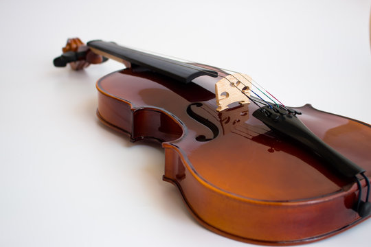 Violin in white background with bow