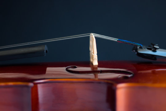 Violin in white background with bow