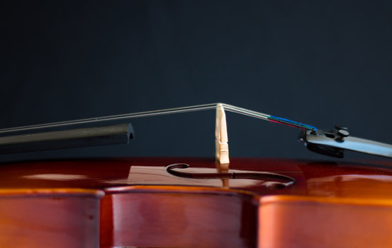 Violin in white background with bow