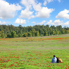 Spring red flowers blossom. Wild anemones blooming on a green meadow. Young couple rest on the ground. Hot air balloon flies in the sky. Beautiful sunny day outdoor