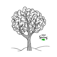 Hello Spring - Hand drawing doodle flowering ash-tree with leaves. Stylization and fantasy. Black and white isolated vector illustration. Coloring book for children and adults.