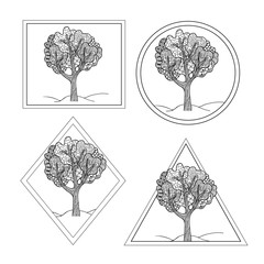 Contour hand drawing zendoodle tree in frame: square, circle, rhombus, triangle. Stylization and fantasy. Black and white isolated vector illustration. Icons. Coloring book for children and adults.