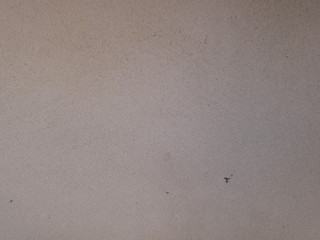 white paper texture